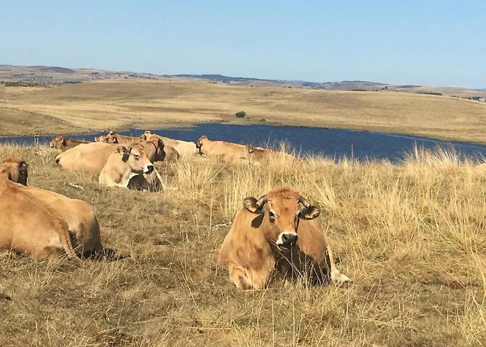 Aux Portes D'aubrac Casa vacanze *