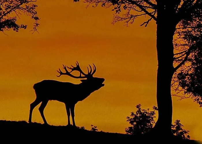 Aux Portes D'aubrac Condom-d'Aubrac