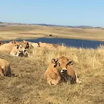 Aux Portes D'aubrac بيت للعطل *