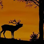 Aux Portes D'aubrac Condom-d'Aubrac