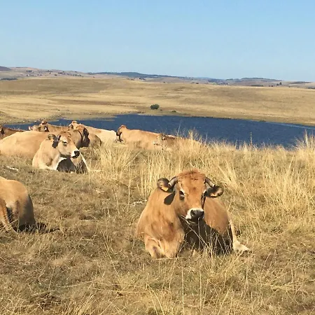 Aux Portes D'aubrac Nyaraló *