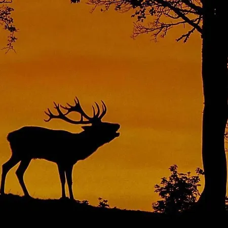 Aux Portes D'aubrac Condom-d'Aubrac